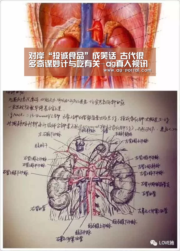 对岸“投诚食品”成笑话 古代很多奇谋妙计与吃有关-ag真人视讯(图2) AG真人