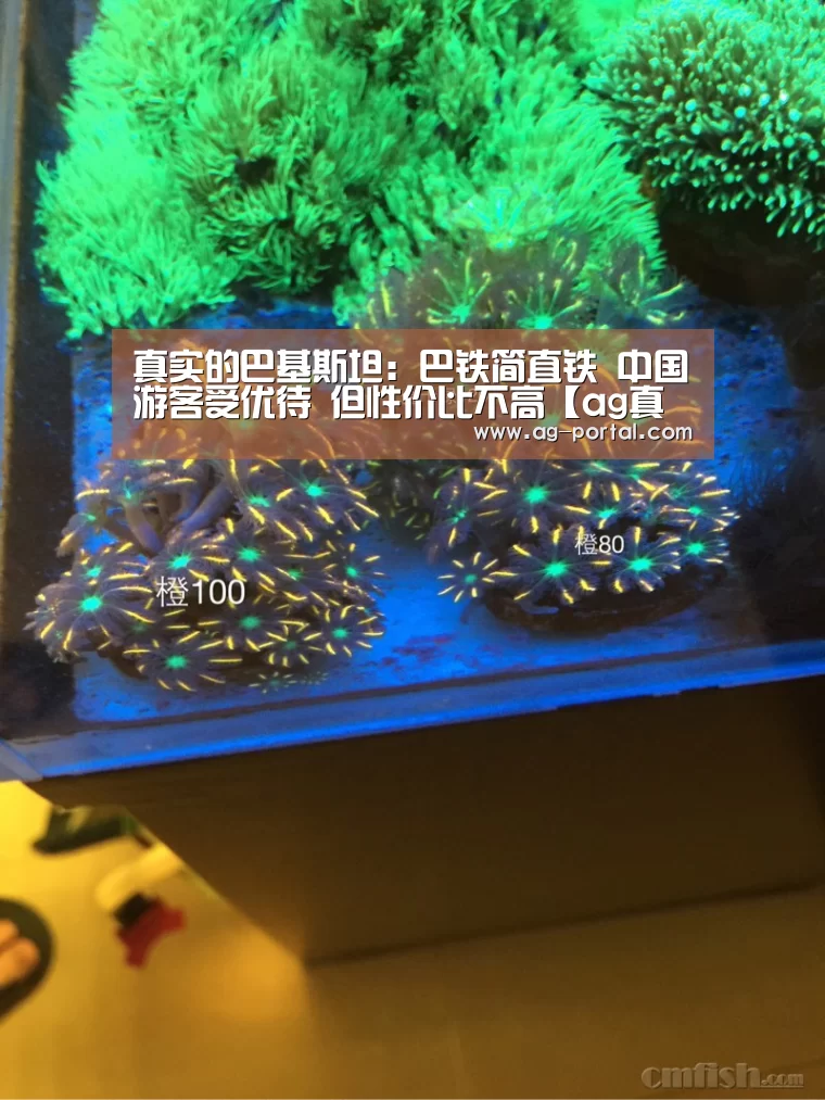 真实的巴基斯坦:巴铁简直铁 中国游客受优待 但性价比不高【ag真人赌场】(图1) ag真人视讯