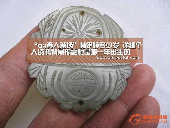 “ag真人赌场”林伊婷多少岁 详细个人资料背景揭露她是哪一年出生的(图3) AG真人游戏平台