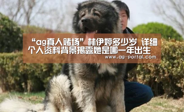 “ag真人赌场”林伊婷多少岁 详细个人资料背景揭露她是哪一年出生的(图4) ag真人赌场