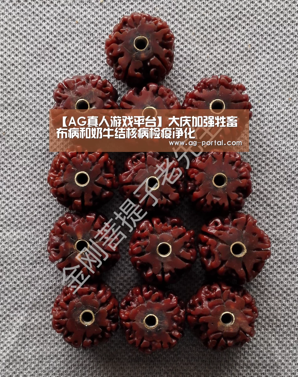 【AG真人游戏平台】大庆加强牲畜布病和奶牛结核病检疫净化(图1) ag真人视讯