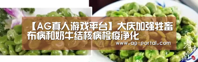 【AG真人游戏平台】大庆加强牲畜布病和奶牛结核病检疫净化(图3) ag真人赌场