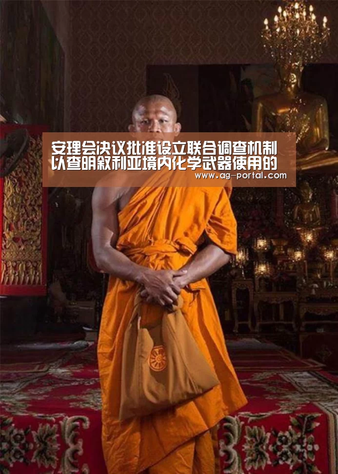 安理会决议批准设立联合调查机制以查明叙利亚境内化学武器使用的责任方【ag真人赌场】(图2) ag真人视讯