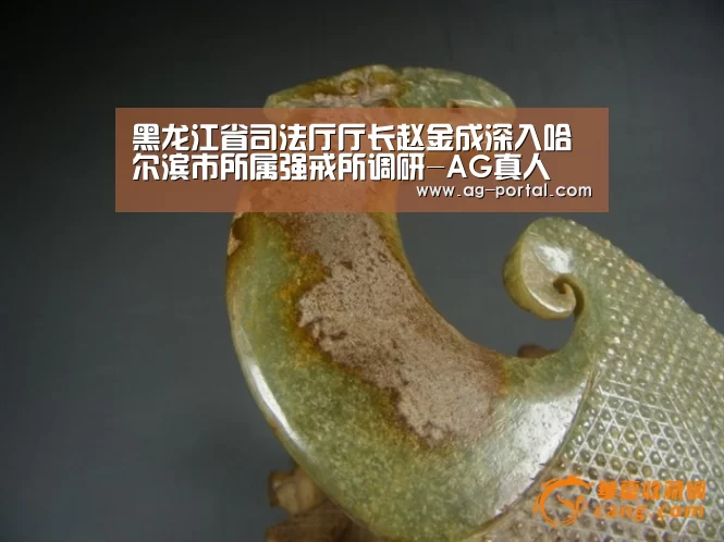 黑龙江省司法厅厅长赵金成深入哈尔滨市所属强戒所调研-AG真人(图2) ag真人赌场