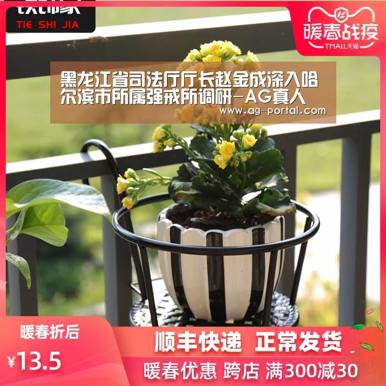 黑龙江省司法厅厅长赵金成深入哈尔滨市所属强戒所调研-AG真人(图3) ag真人赌场