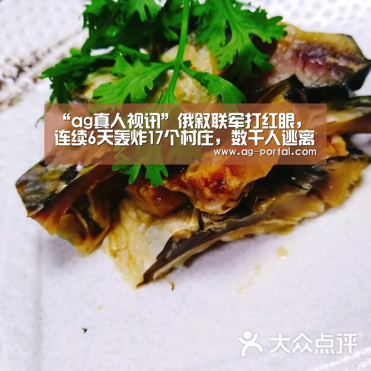 “ag真人视讯”俄叙联军打红眼,连续6天轰炸17个村庄,数千人逃离家园保命云南高院(图3) ag真人视讯